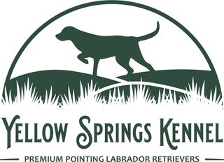Yellow Springs Kennel